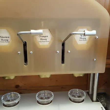 Zum Gourmet 4* Ζέεφελντ